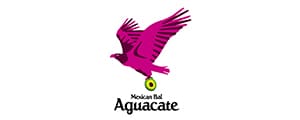 PremiumTequila Bar Aguacate（アグアカテ）
