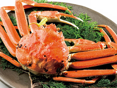 株式会社オーイズミフーズ-越前鮮魚店001